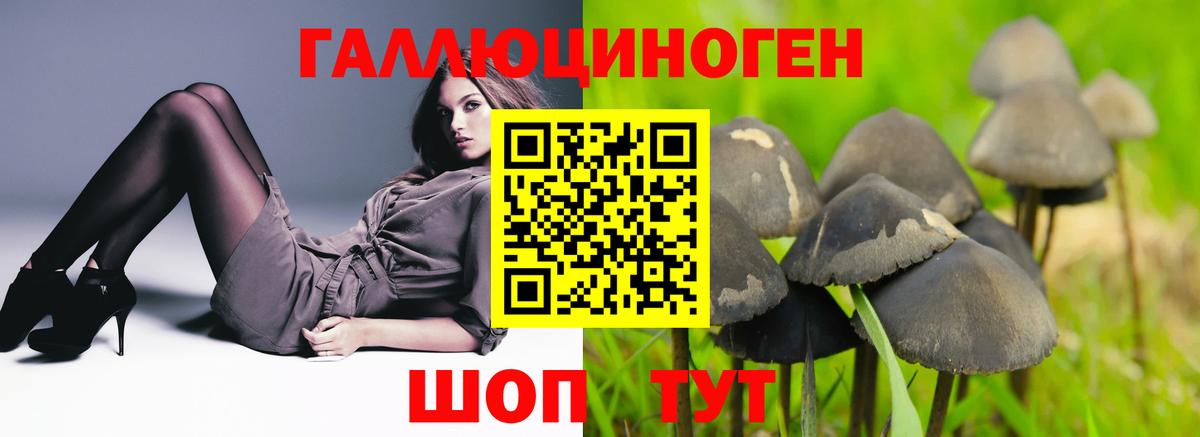 Галлюциногенные грибы MAGIC MUSHROOMS Кингисепп